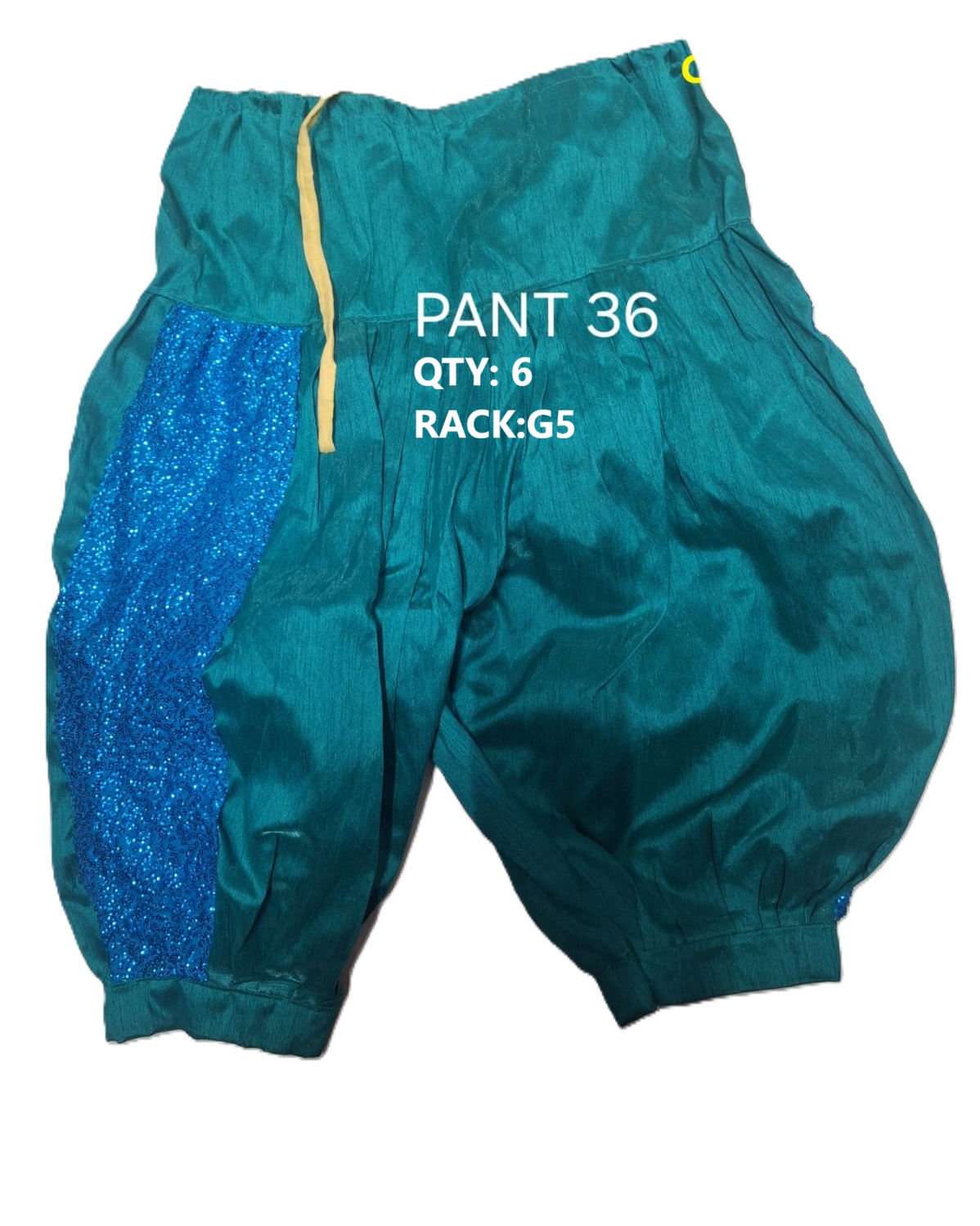 PANT-36
