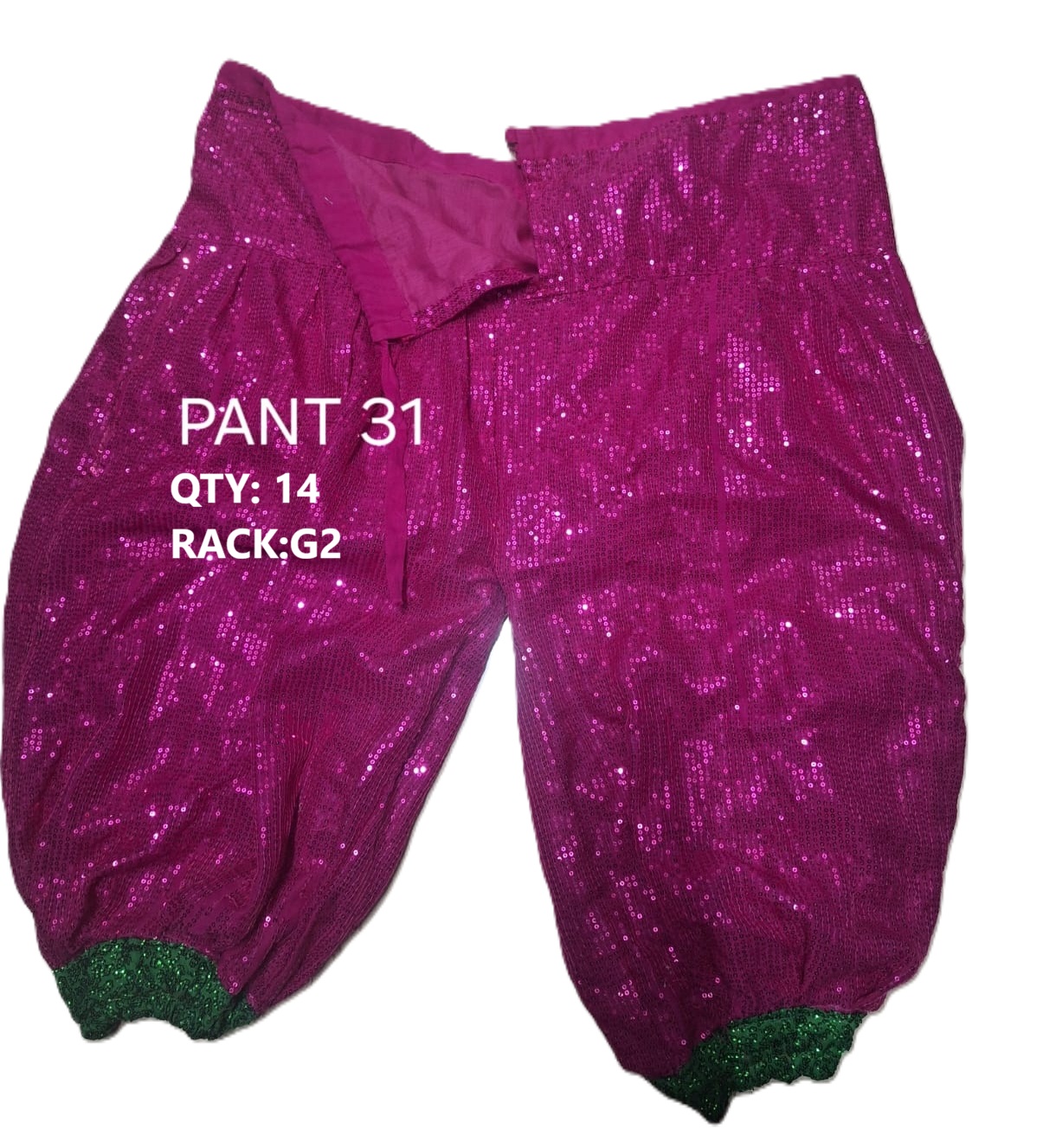 PANT-31